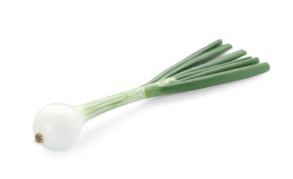 Photo of Whole green spring onion isolated on white