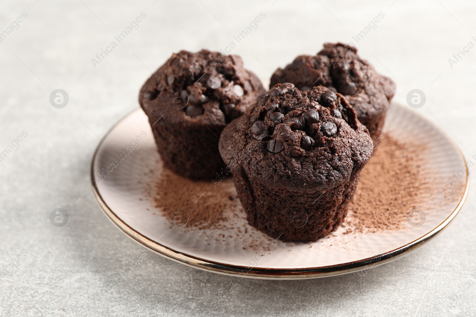 Photo of Delicious chocolate muffins and cacao powder on light grey table. Space for text