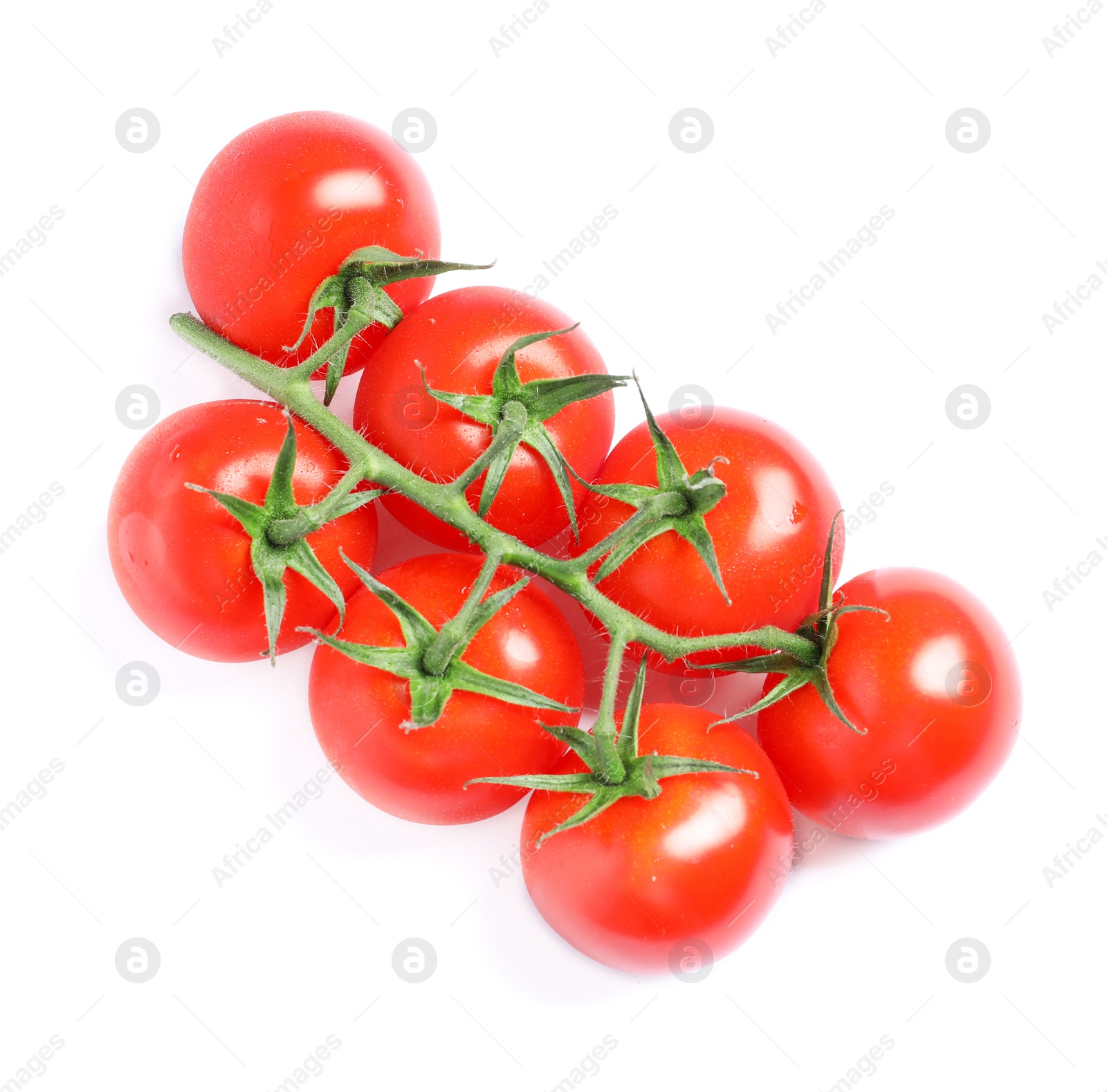 Photo of Branch of fresh cherry tomatoes isolated on white