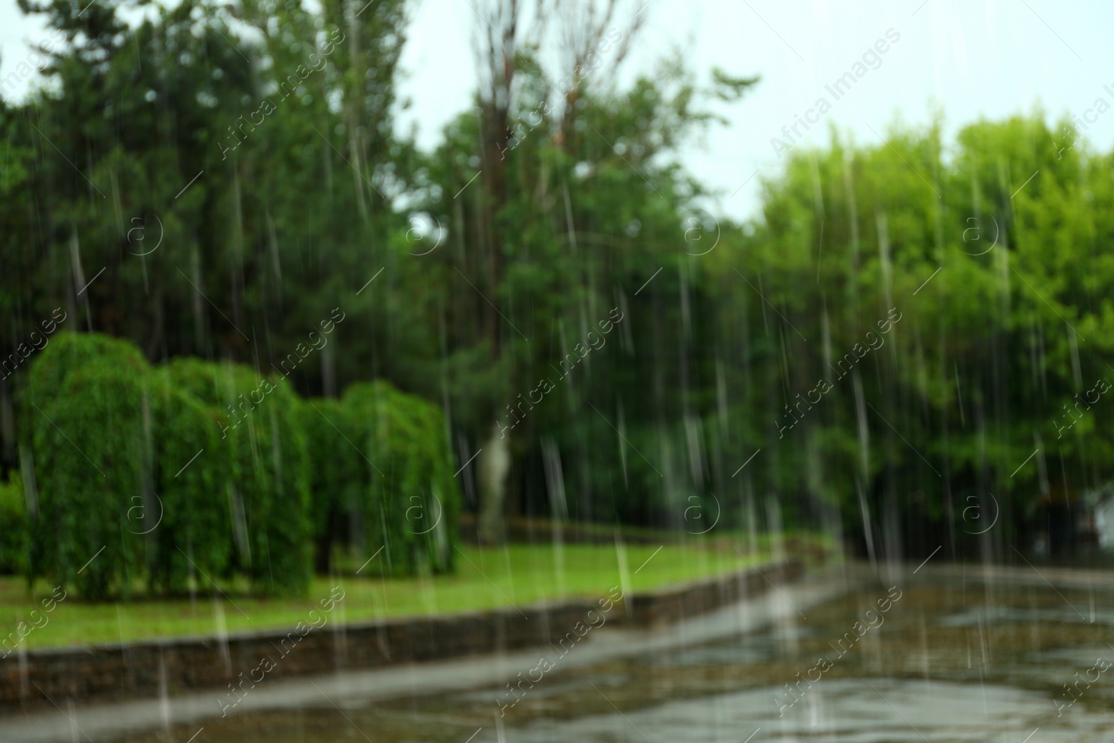 Photo of Blurred view of heavy pouring rain in green park