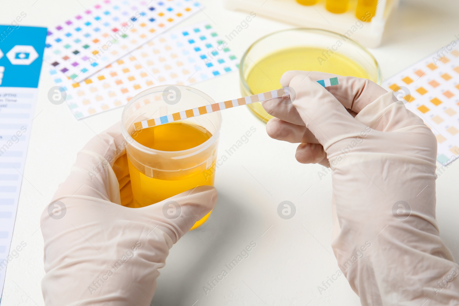 Photo of Doctor doing urine analysis at white table