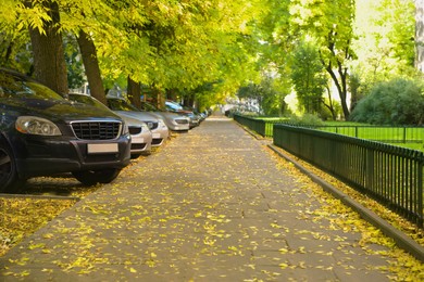 Pavement with tiles and grass outdoors. Sidewalk covering