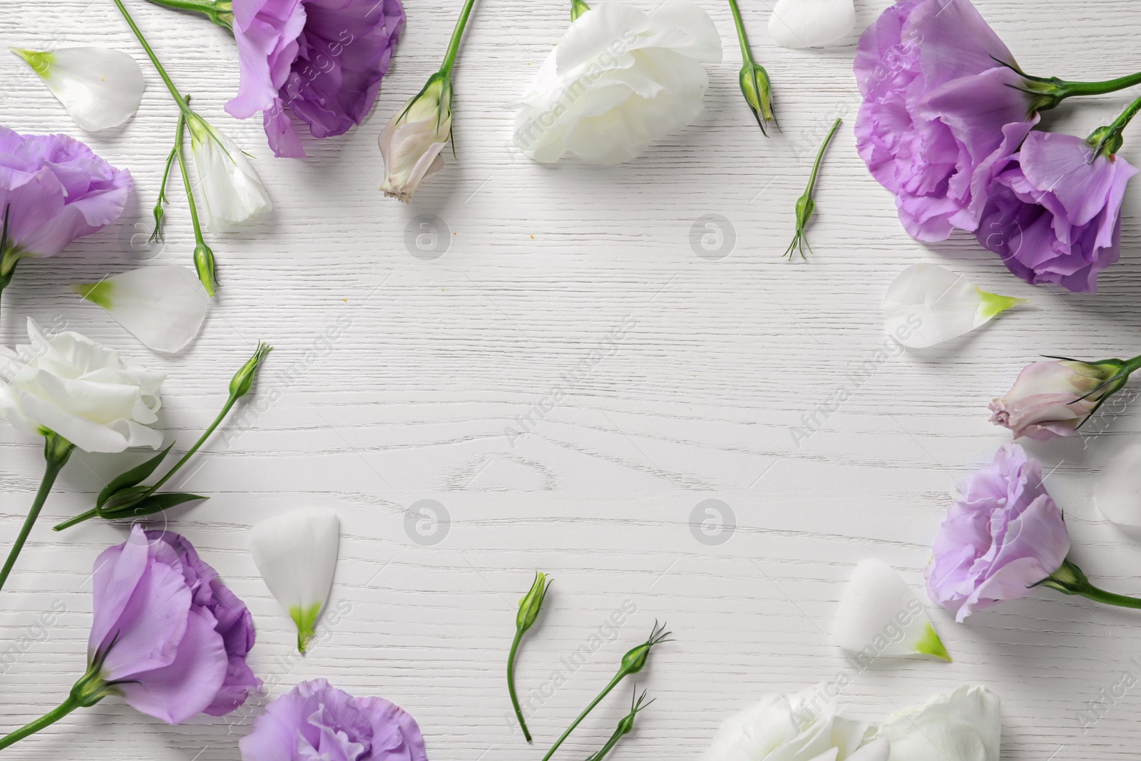 Photo of Flat lay composition with beautiful Eustoma flowers on light wooden background