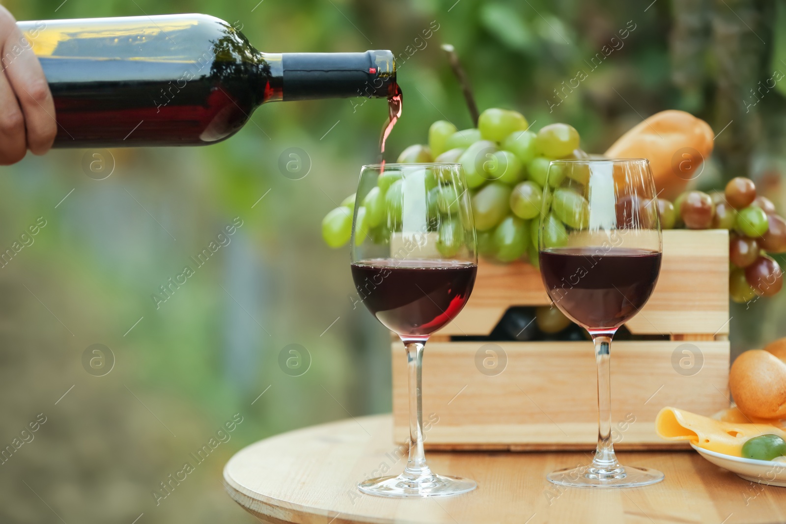 Photo of Woman pouring red wine into glass on table in vineyard