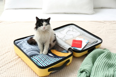 Cute cat sitting in suitcase with clothes and tickets on bed