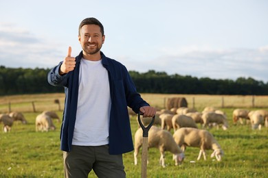 Photo of Portrait of smiling man with shovel showing thumb up on pasture at farm. Space for text