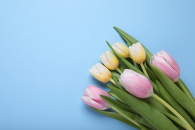 Beautiful tulips on light blue background, flat lay. Space for text