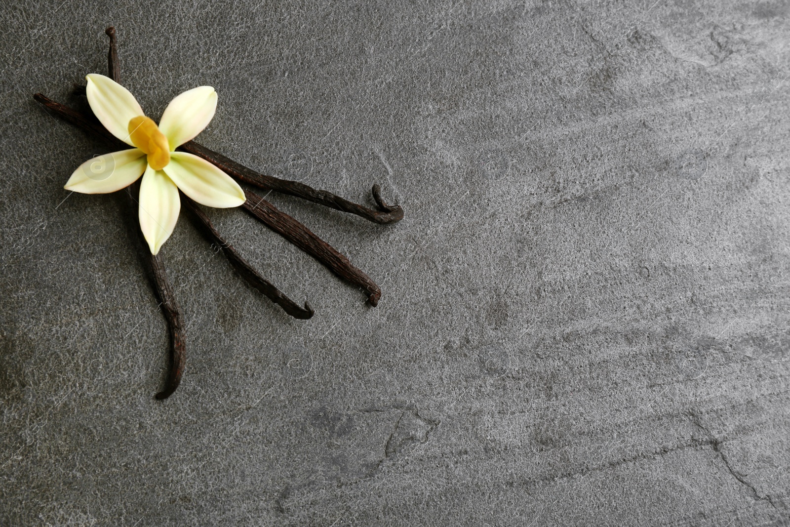 Photo of Flat lay composition with vanilla sticks and flower on grey background. Space for text