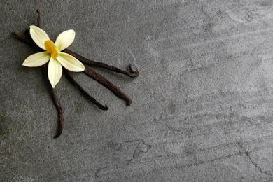 Flat lay composition with vanilla sticks and flower on grey background. Space for text