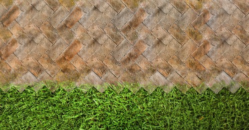 Fresh green grass and tiled surface outdoors, top view. Banner design