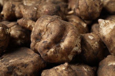 Many fresh Jerusalem artichokes as background, closeup