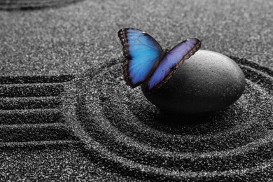 Image of Beautiful butterfly and stone on black sand with pattern. Zen concept