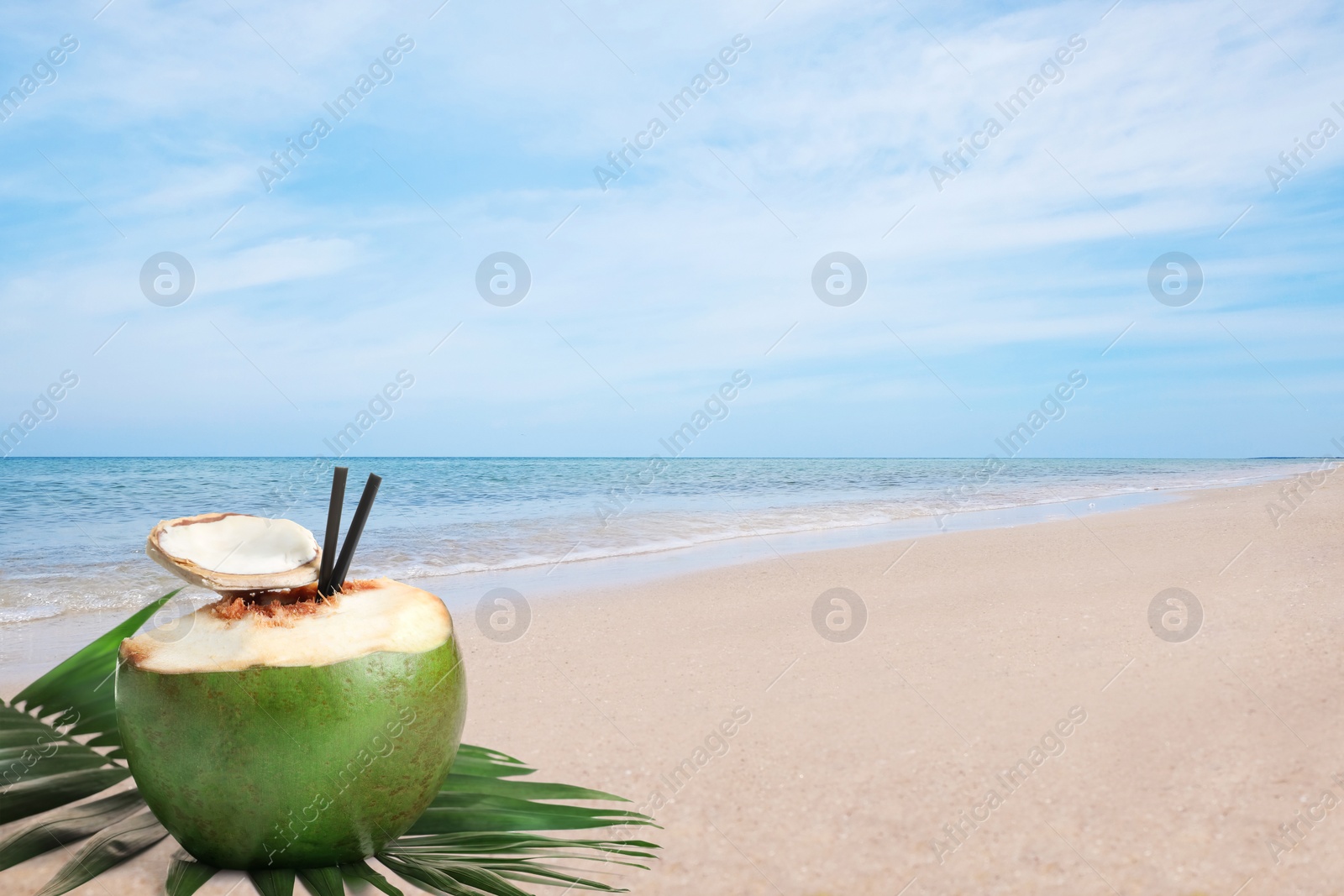 Image of Green coconut with refreshing drink and palm leaf on sandy beach near sea, space for text