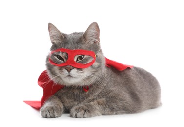 Photo of Adorable cat in red superhero cape and mask on white background