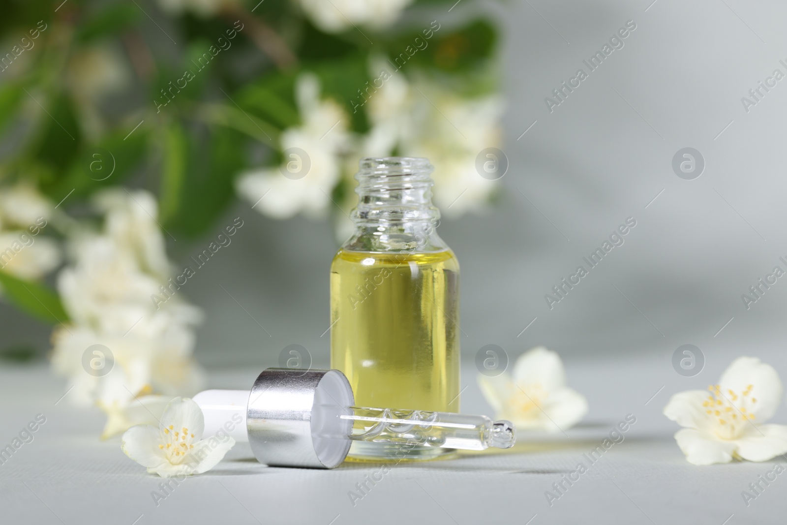 Photo of Essential oil in bottle, beautiful jasmine flowers and pipette on grey background, closeup