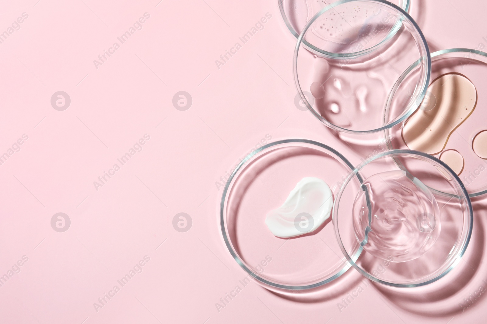 Photo of Many Petri dishes with cosmetic samples on pink background, flat lay. Space for text