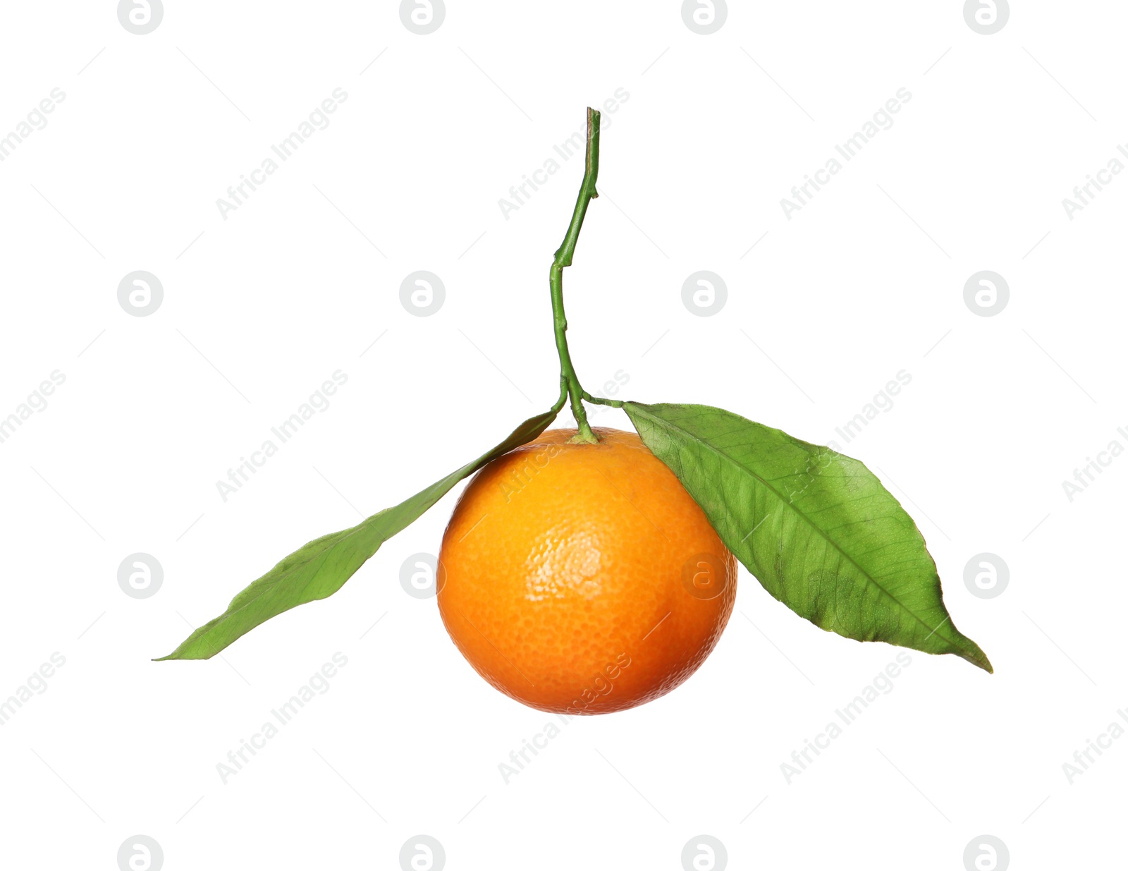 Photo of One fresh tangerine with green leaves isolated on white