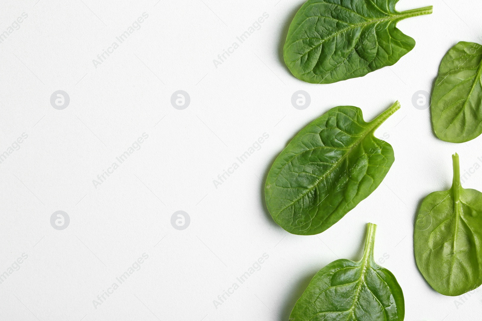 Photo of Fresh leaves of spinach isolated on white, top view