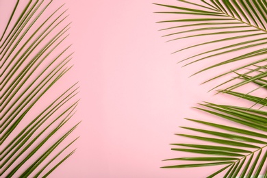 Photo of Fresh tropical date palm leaves on color background, top view