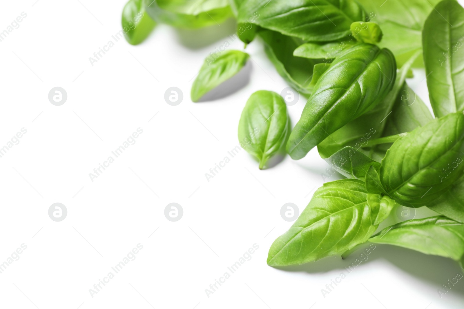 Photo of Fresh green basil leaves on white background, closeup