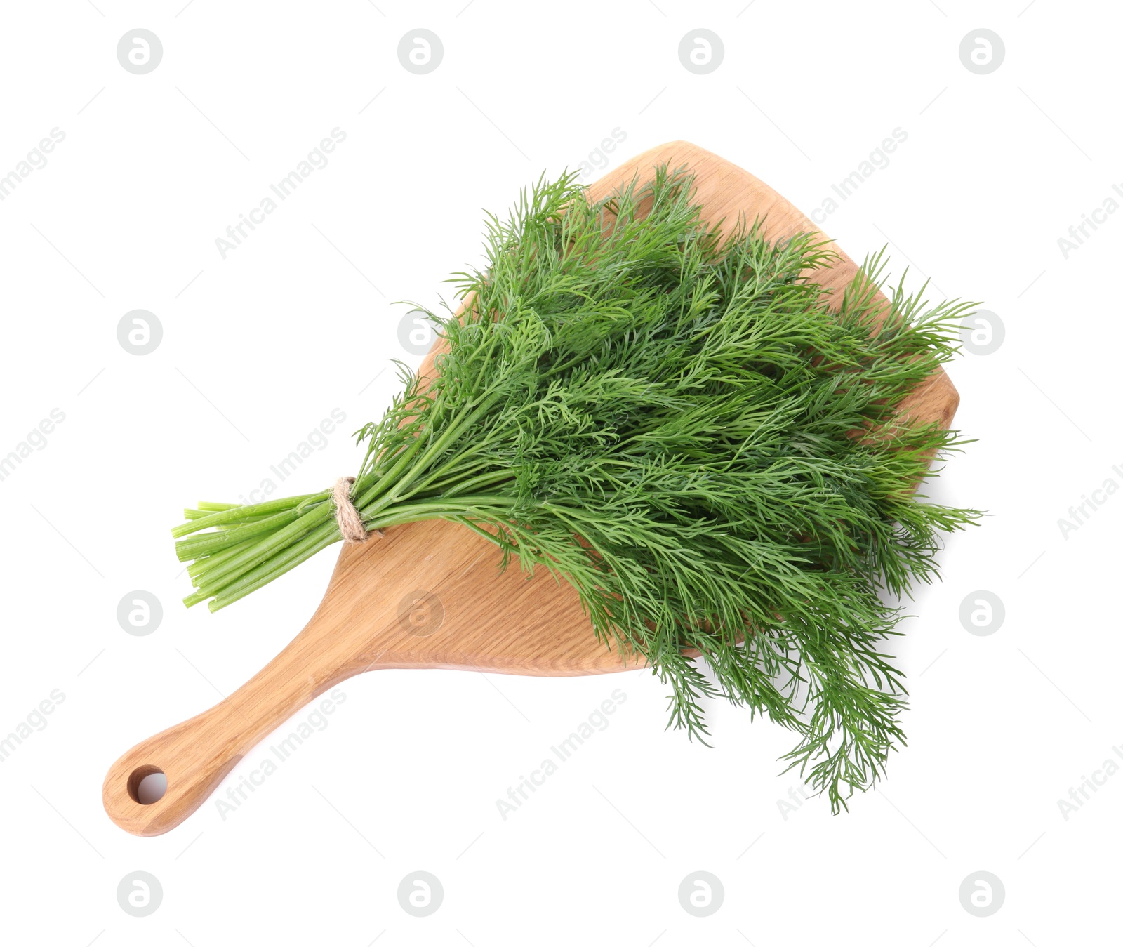 Photo of Board with fresh green dill isolated on white, top view