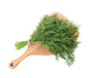 Photo of Board with fresh green dill isolated on white, top view