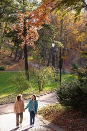 Happy young couple walking in autumn park. Dating agency