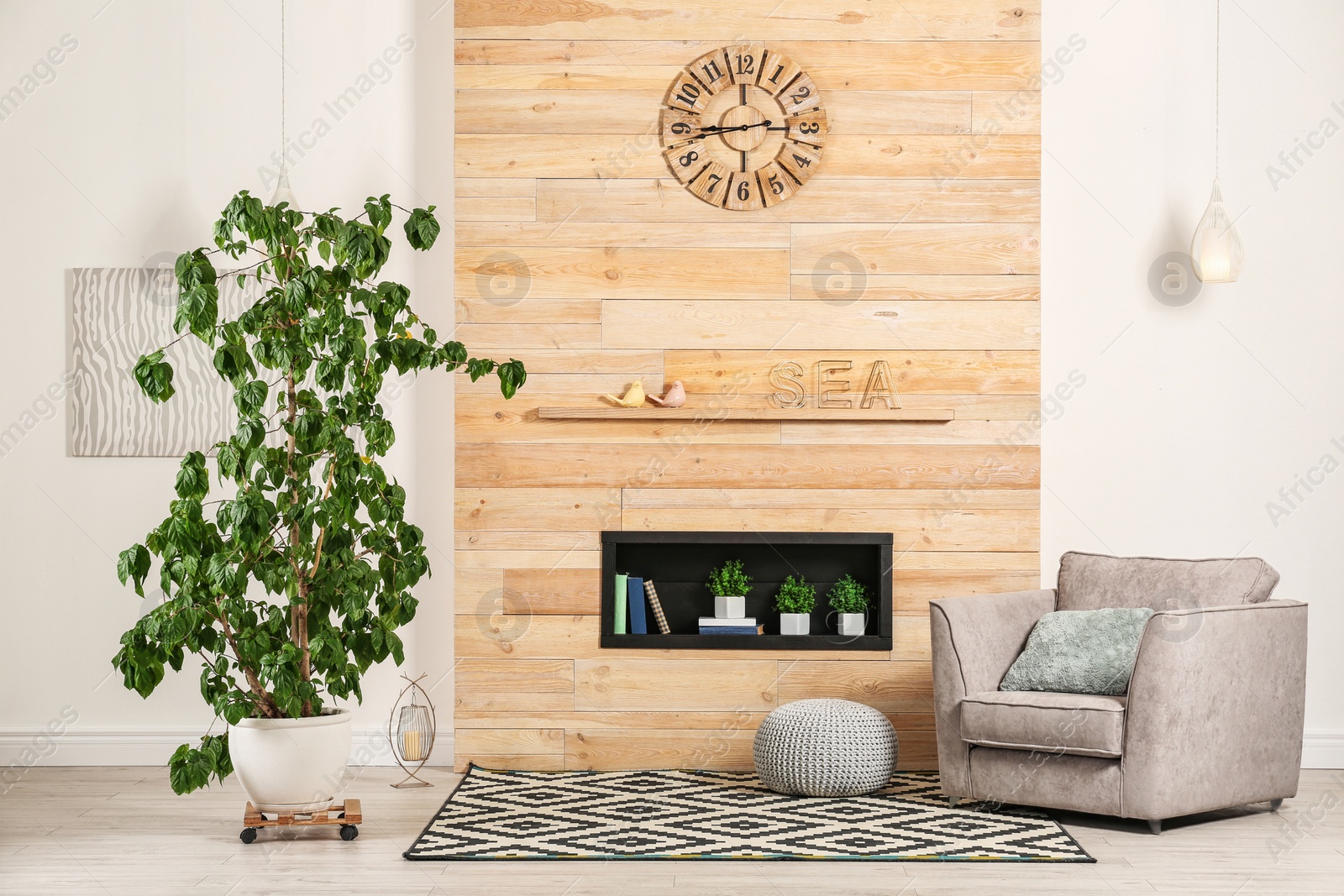 Photo of Stylish room interior with large houseplant, armchair and carpet