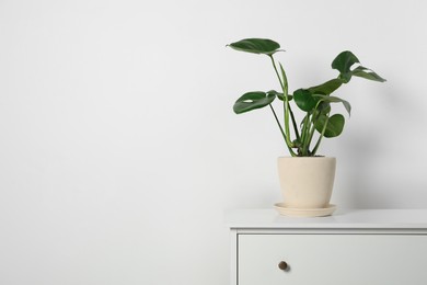 Photo of Potted monstera on chest of drawers near white wall, space for text. Beautiful houseplant