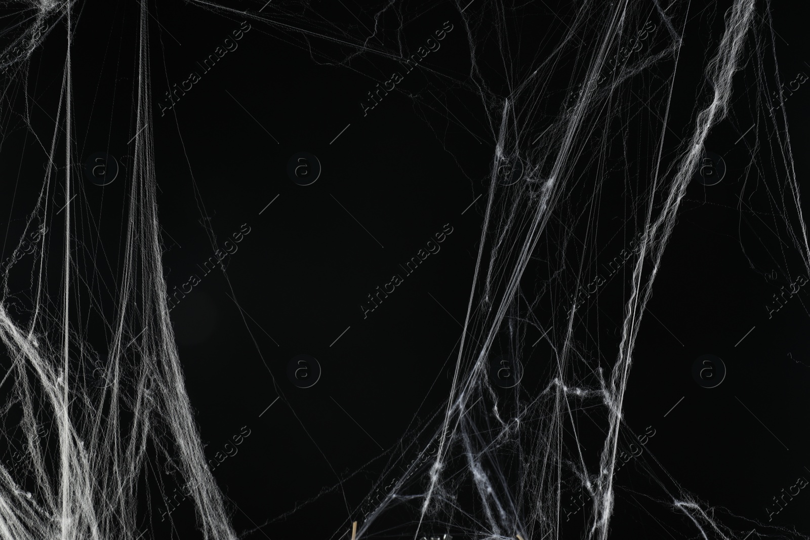 Photo of Creepy white spider web on black background