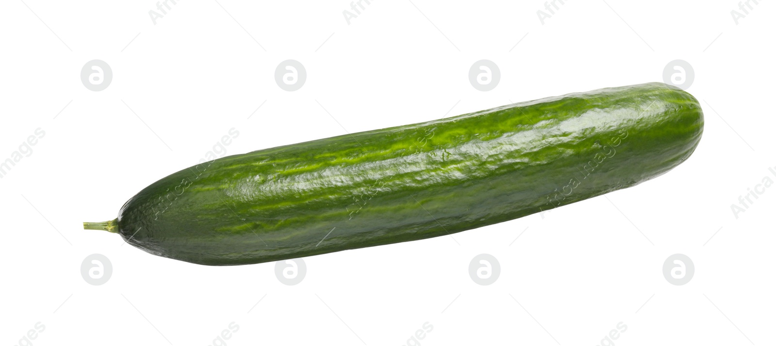 Photo of One long fresh cucumber isolated on white