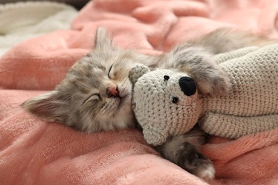 Photo of Cute kitten sleeping with toy on soft pink blanket