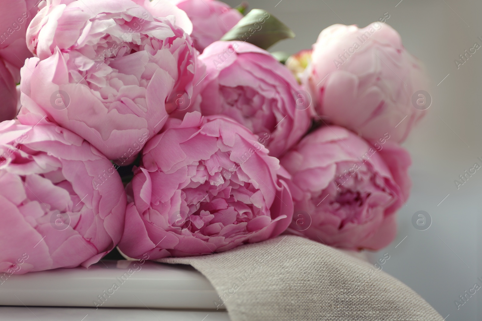 Photo of Closeup view of beautiful fresh pink peonies