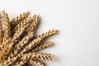 Photo of Dried ears of wheat on white wooden table, closeup. Space for text