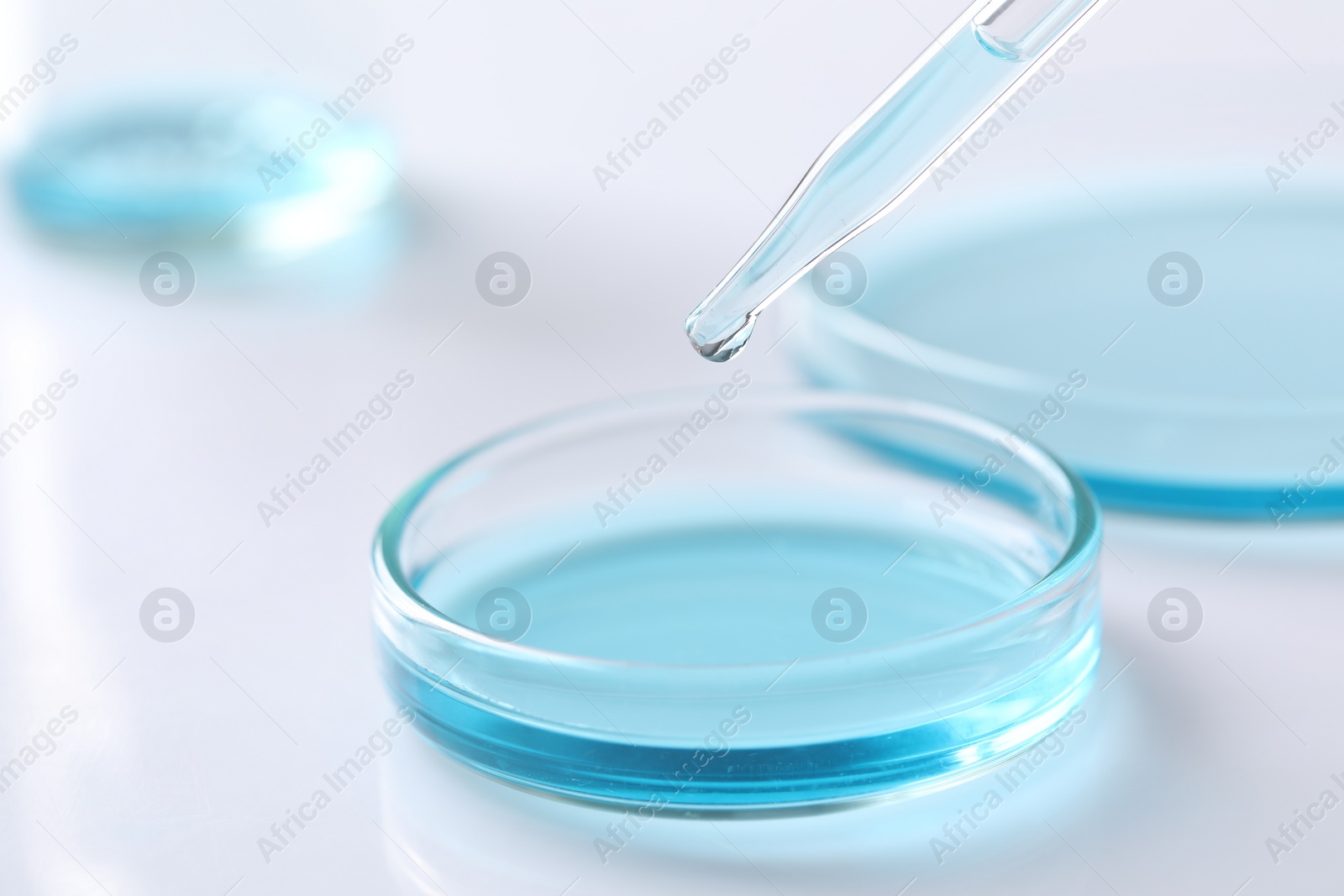 Photo of Dripping liquid from pipette into petri dish at white table, closeup. Laboratory analysis