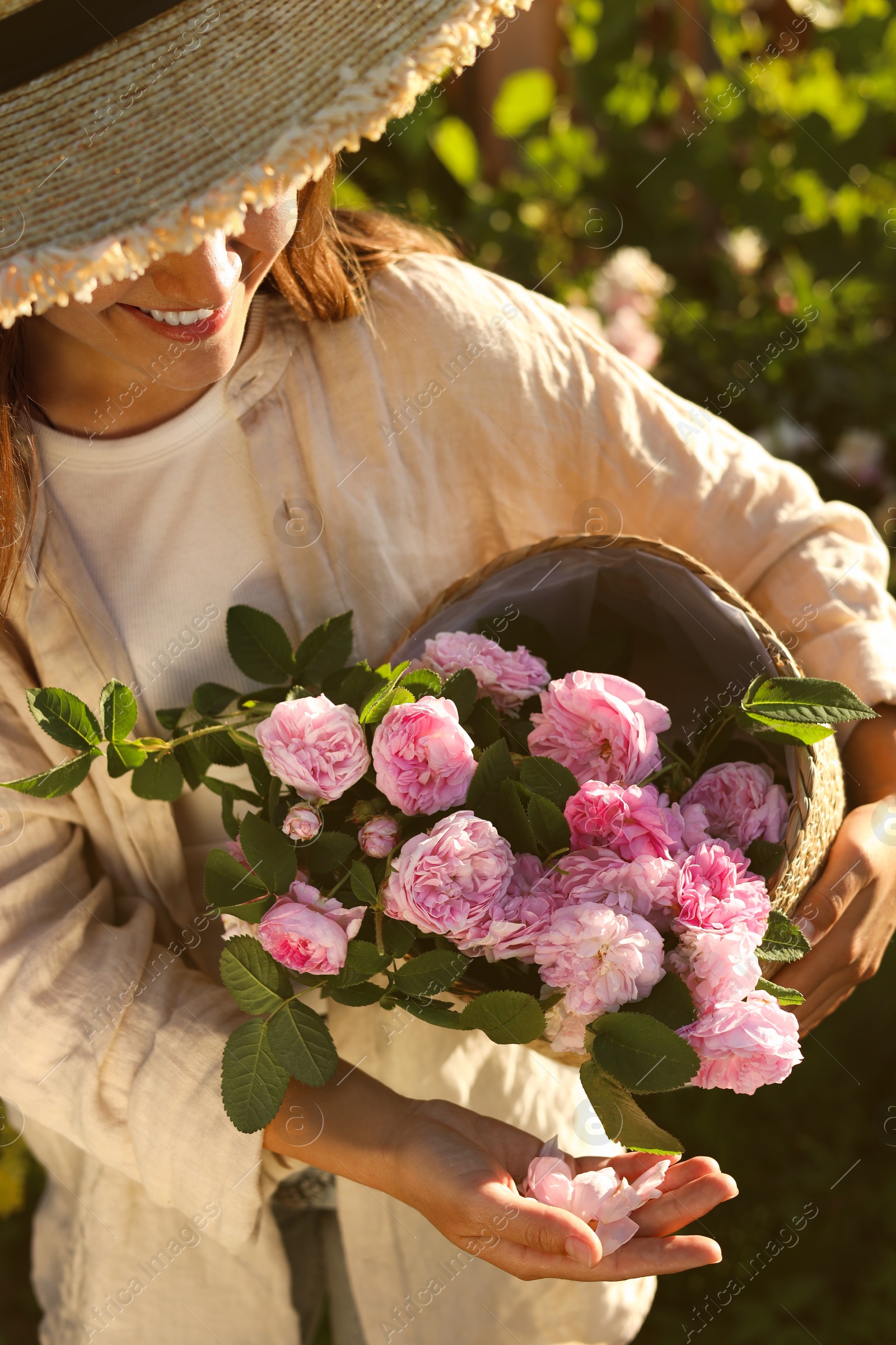 Photo of Young woman holding wicker basket with beautiful tea roses in garden, closeup