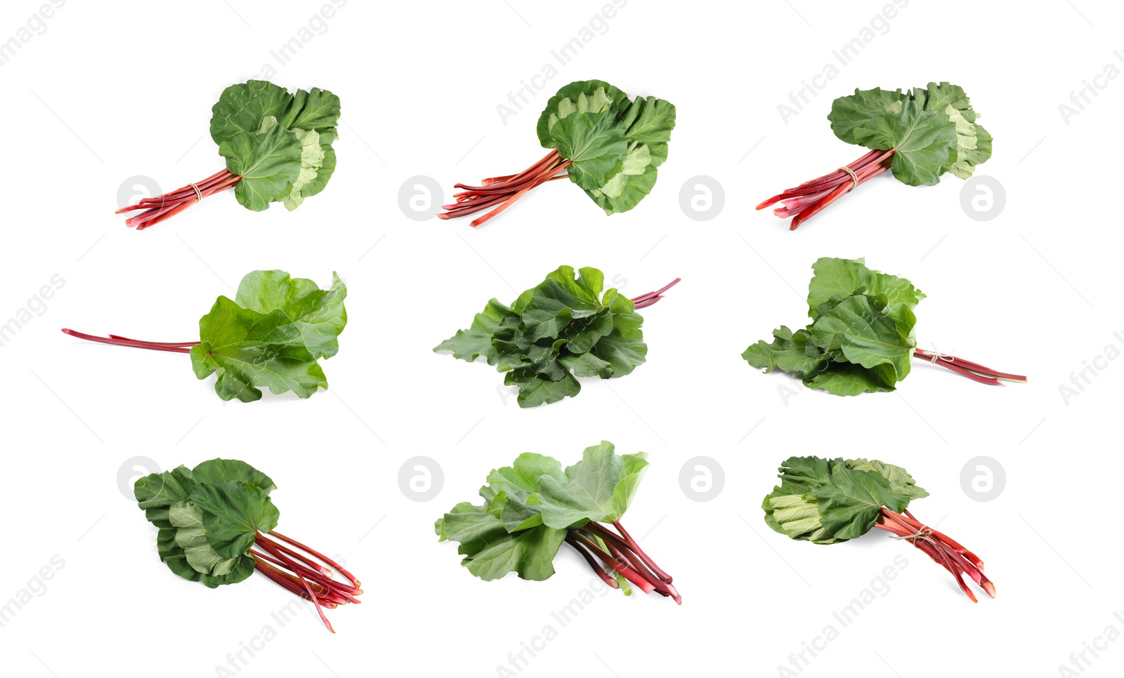 Image of Set with fresh rhubarb stalks with leaves isolated on white