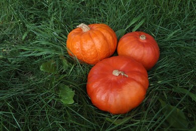 Photo of Whole ripe orange pumpkins among green grass outdoors. Space for text