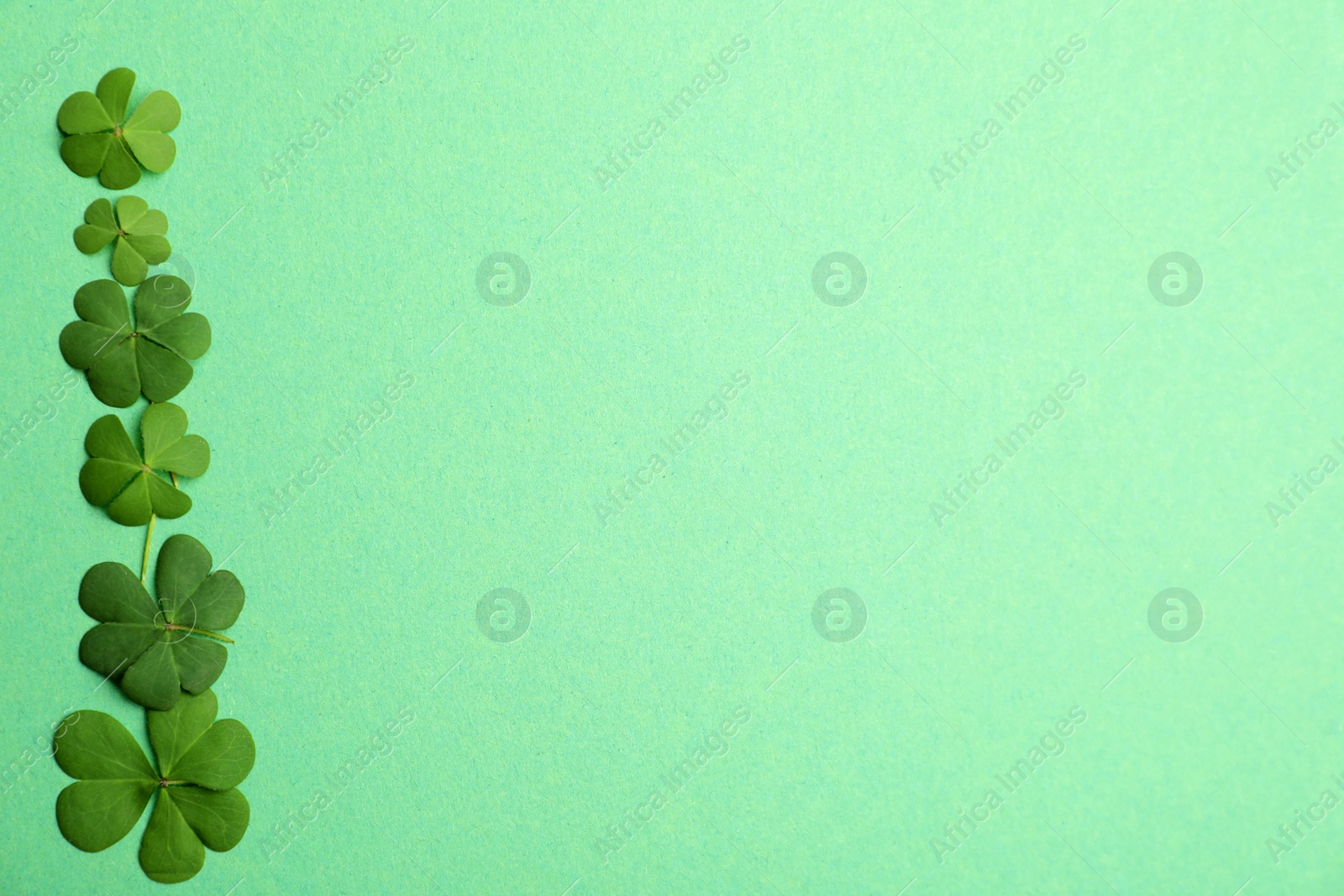 Photo of Clover leaves on green background, flat lay with space for text. St. Patrick's Day symbol