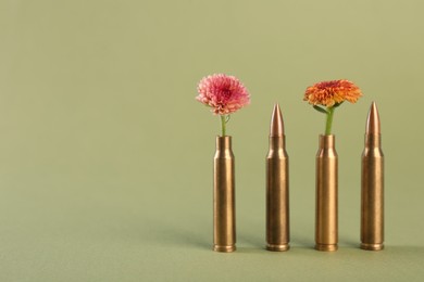 Photo of Bullets, cartridge cases and beautiful chrysanthemum flowers on olive background, space for text