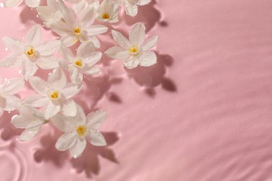 Beautiful daffodils in water on pink background, top view. Space for text