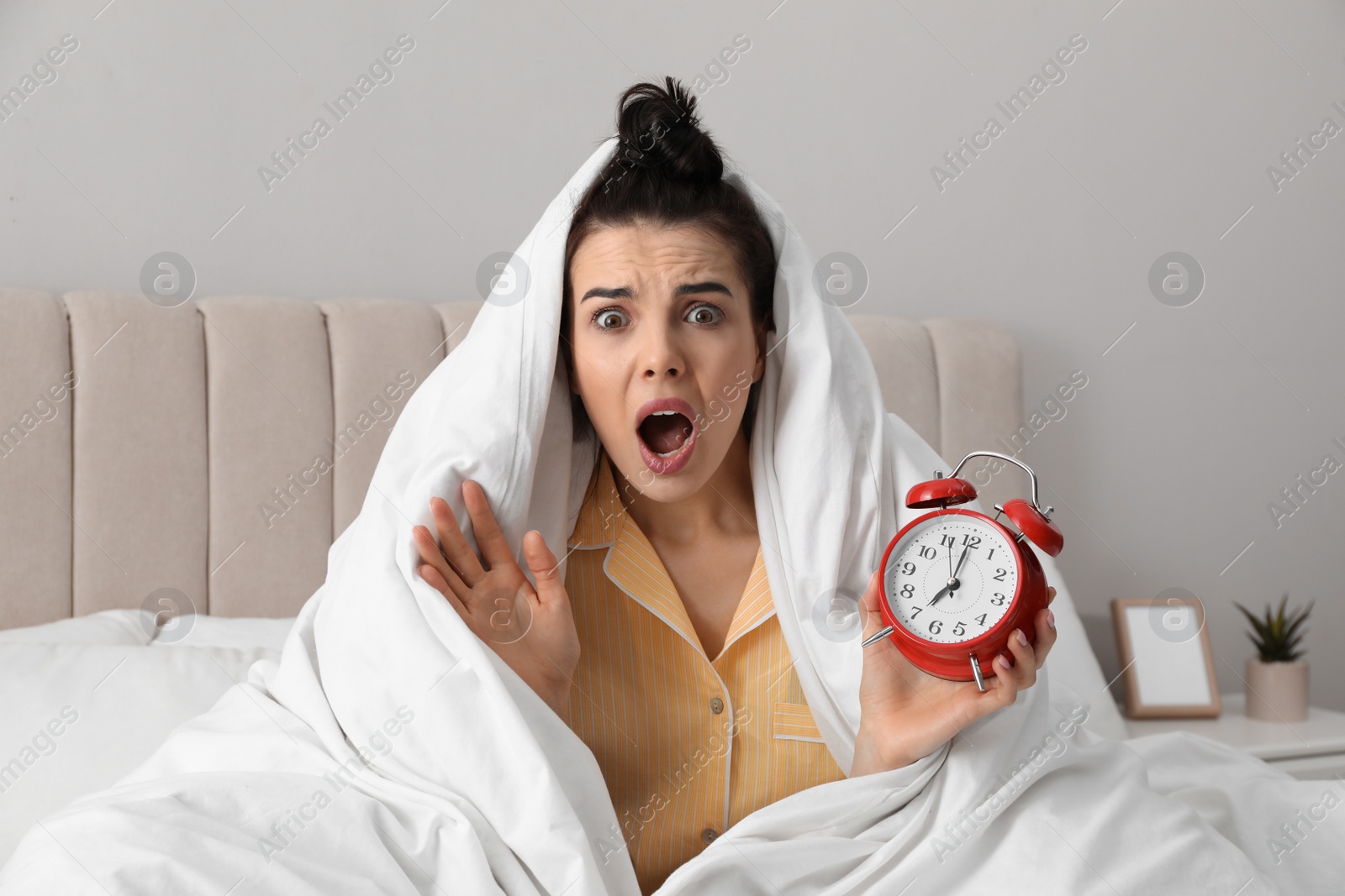 Photo of Emotional overslept woman with alarm clock in bed. Being late concept