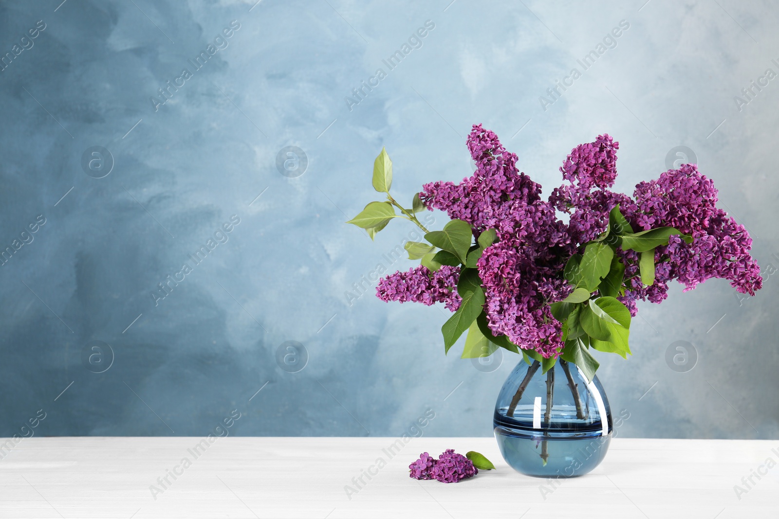 Photo of Beautiful lilac flowers in vase on white table, space for text