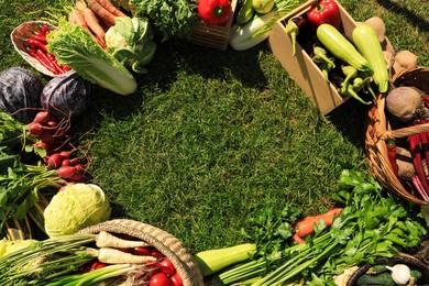 Frame of different fresh ripe vegetables on green grass, top view. Space for text