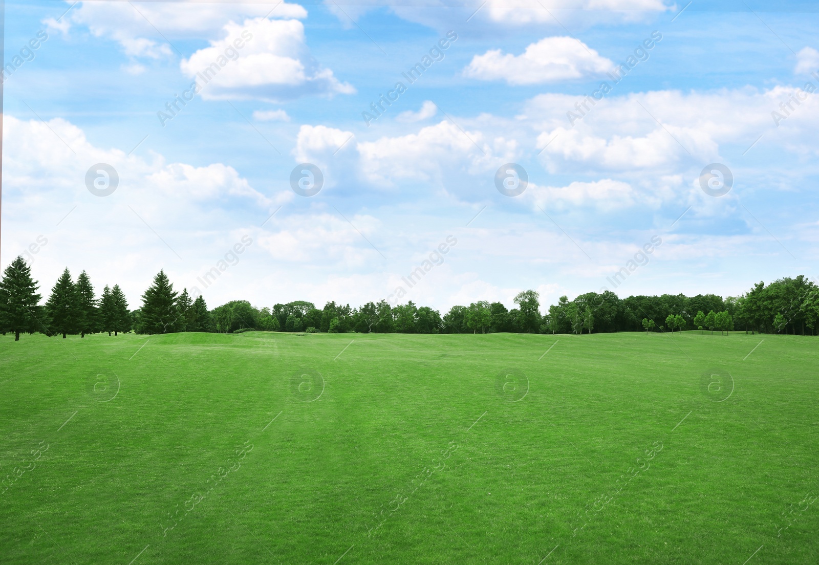 Image of Beautiful view of park with green grass on sunny day