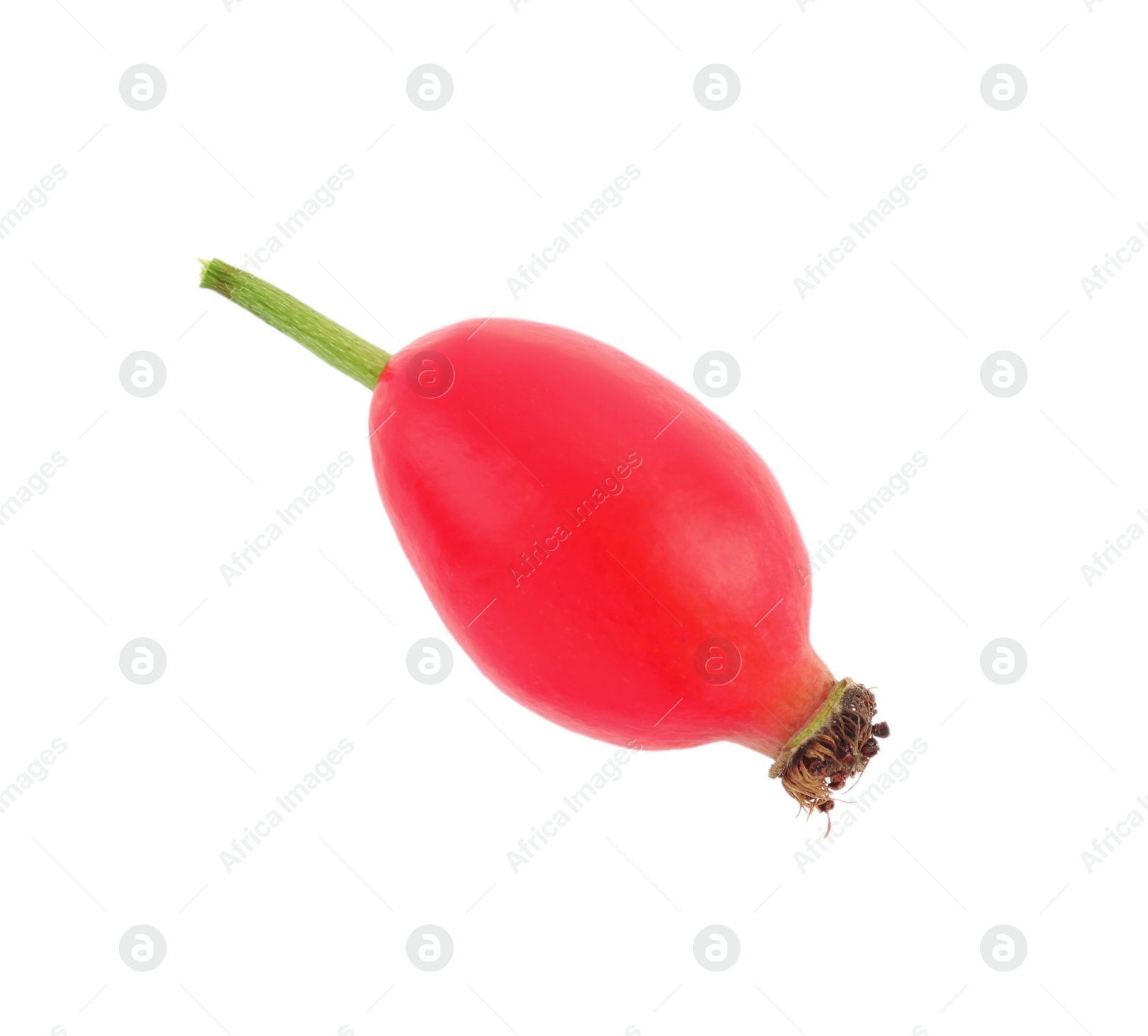 Photo of Ripe rose hip berry isolated on white, top view