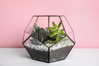 Glass florarium with different succulents on table against color background