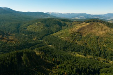 Image of Beautiful mountains covered with forest on sunny day. Drone photography