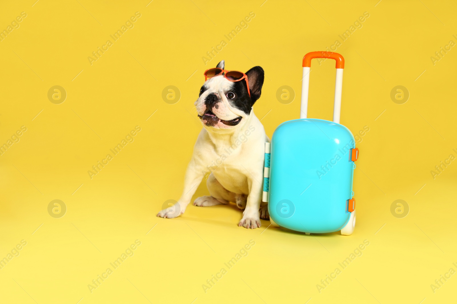 Photo of French bulldog with sunglasses and little suitcase on yellow background. Space for text