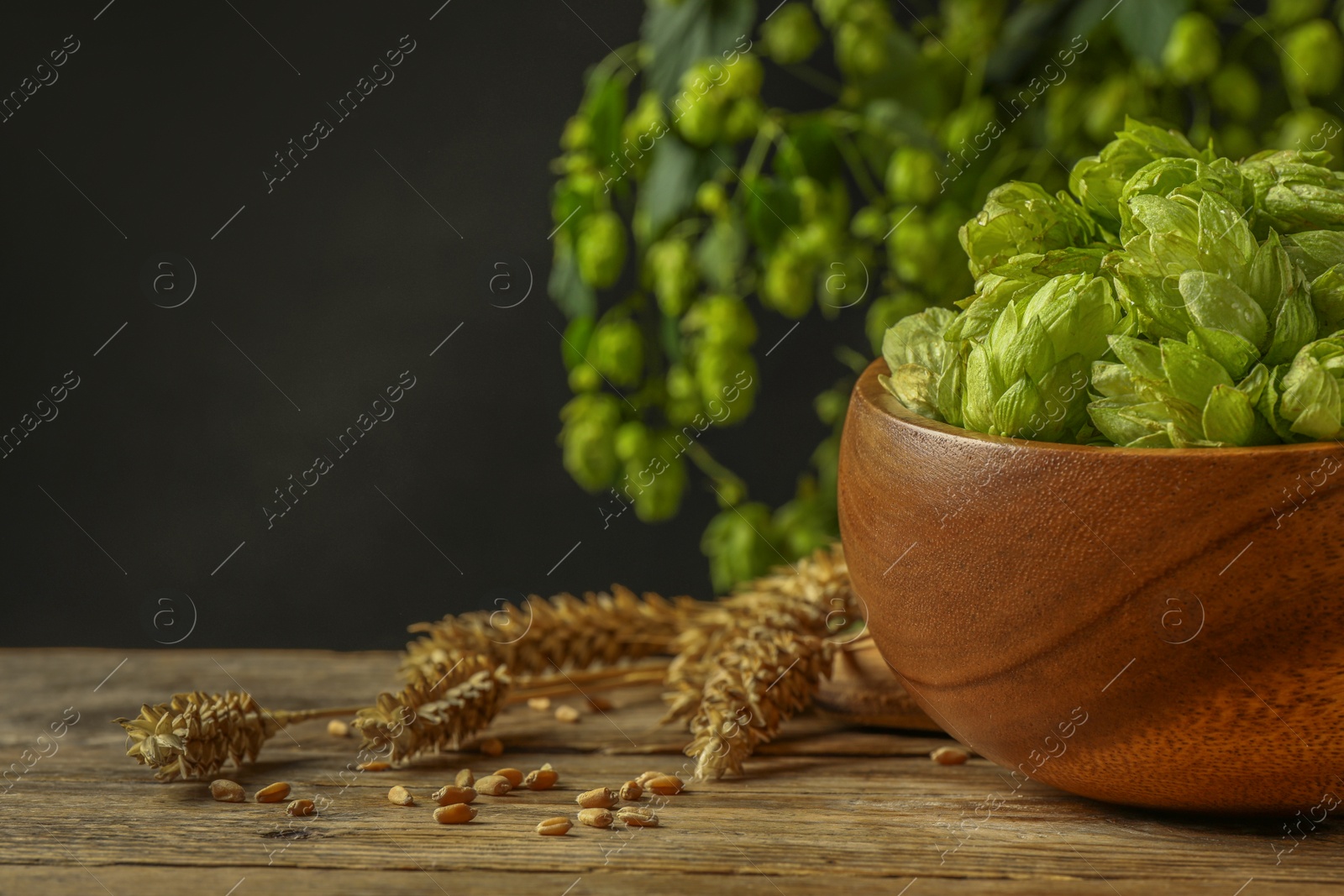 Photo of Fresh green hops, wheat grains and spikes on wooden table, closeup. Space for text